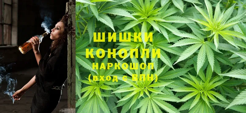 где купить   Северская  Шишки марихуана SATIVA & INDICA 